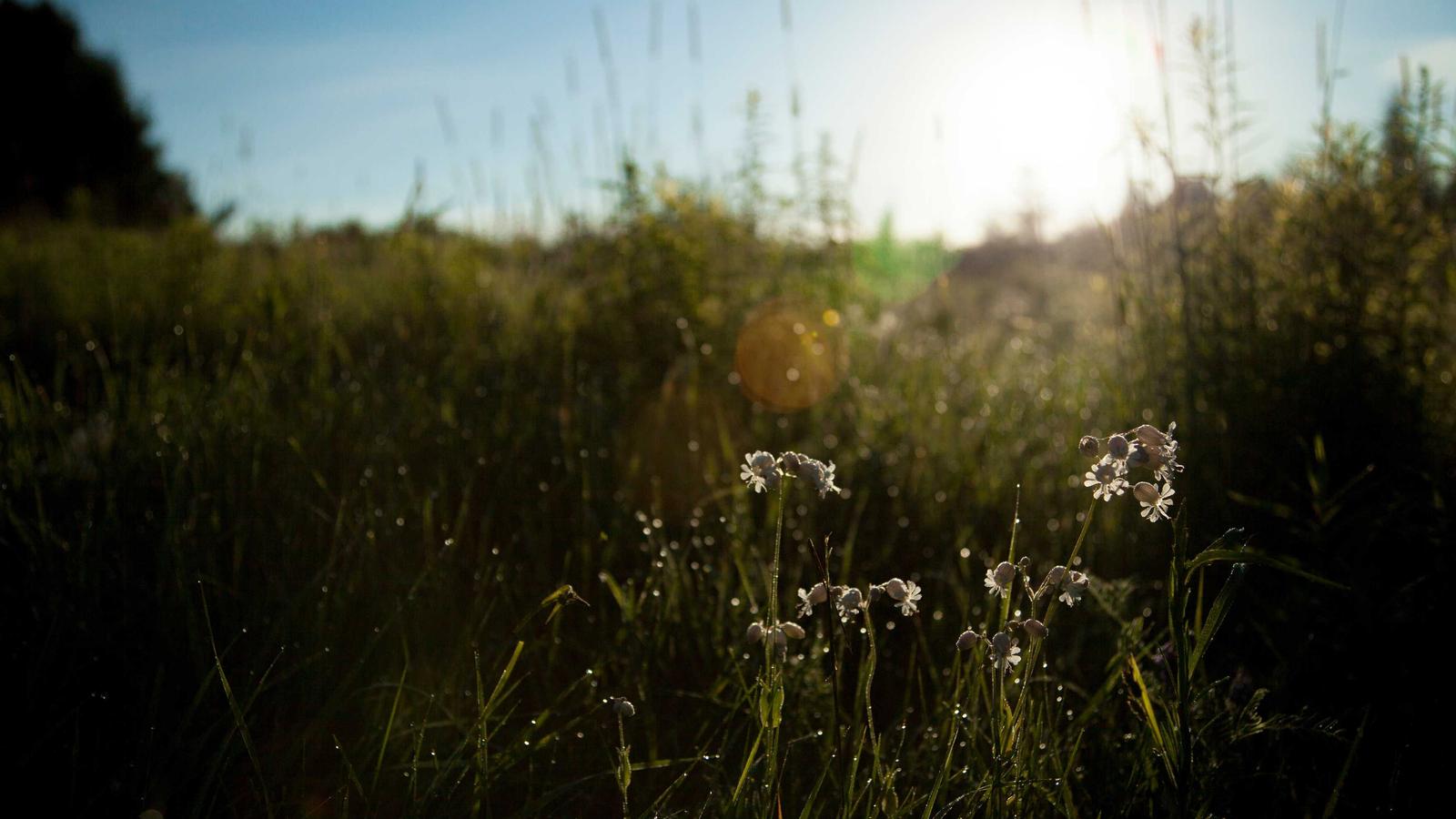 自動化のROIを正しく測るための視点