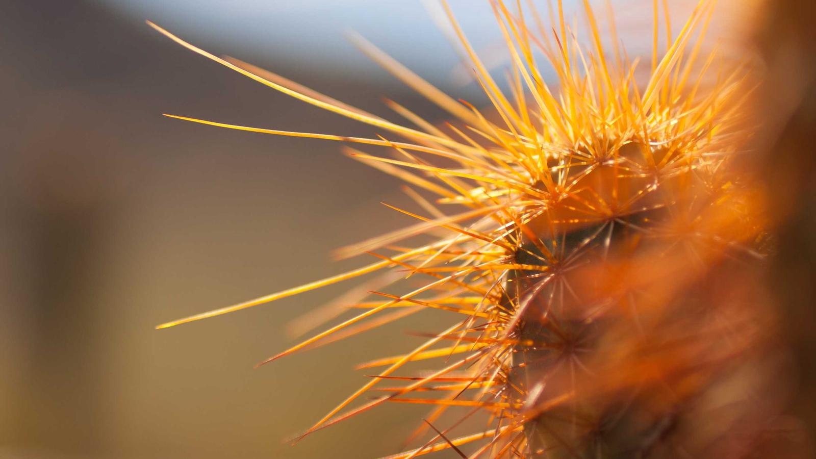 自動化のKPIは「時間」だけでは足りない