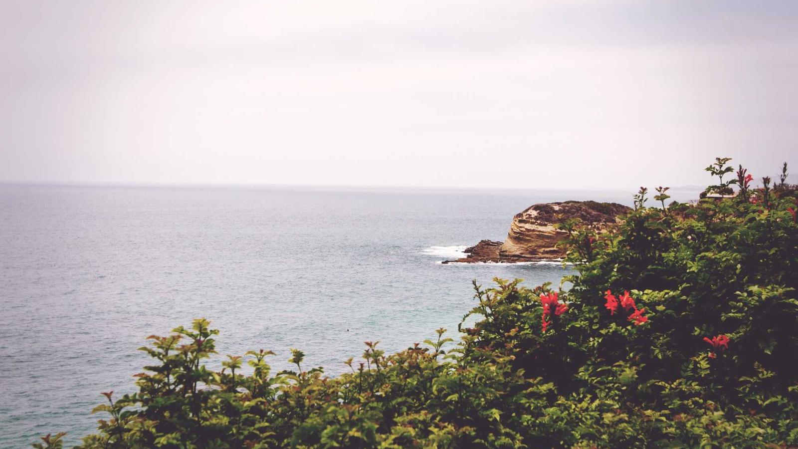 「使い方が分からない」を突破する生成AI導入ステップ