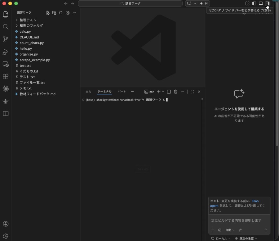 VSCode サイドバーとターミナルを表示した状態