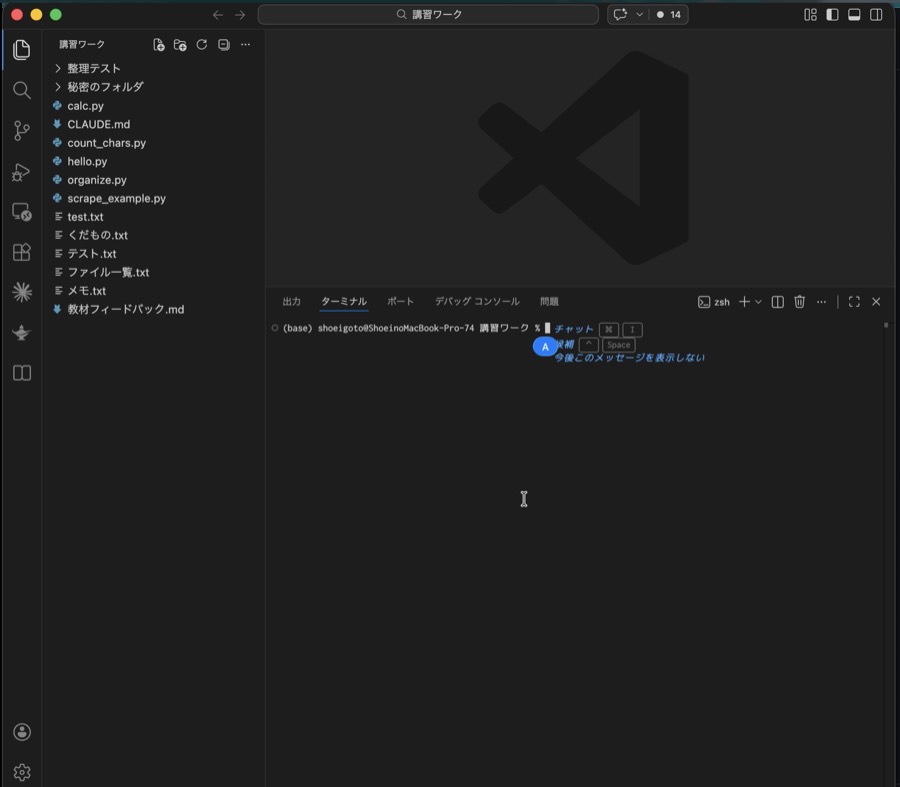 VSCode 基本構成（サイドバー + ターミナル）