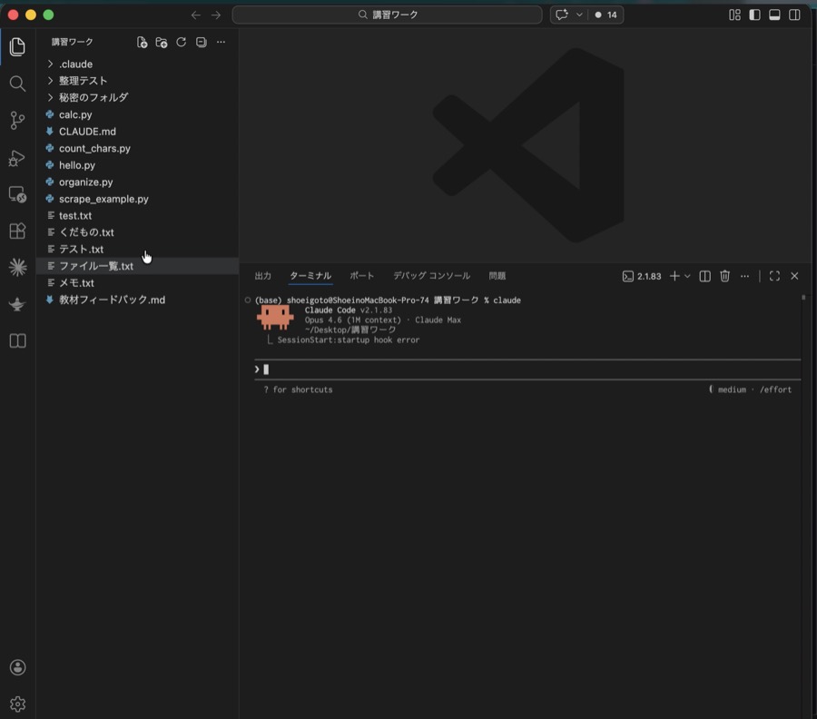 VSCode ターミナルで Claude Code を起動